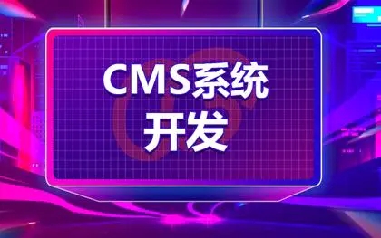 CMS系统开发/内容管理系统开发/各种系统定制开发/二次开发
